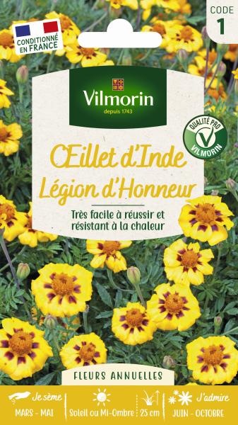Fleurs - Œillet d'Inde Légion d'Honneur - PACKAGING_RECTO